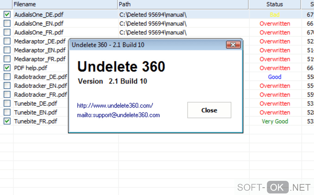 The appearance "Undelete 360"