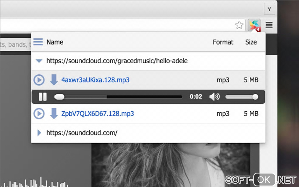 Screenshot №1 "Video Downloader Pro"