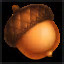Acorn