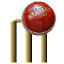 Cricket 3D