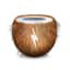 coconutBattery