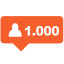 1000 Follower Insta