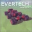 Evertech Sandbox