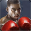 Punch Boxing 3D
