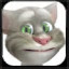 Talking Tom Cat 2