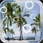 Beach Palms Live Wallpaper