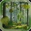 Forest Live Wallpaper