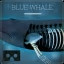 Blue whale VR