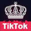 Boost Fans For TikTok Musically Likes Followers