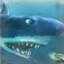 Hungry Shark