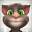 Talking Tom Cat