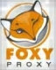 FoxyProxy Extension