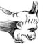 Gargoyle