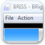 Briss