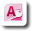 Microsoft Access