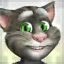 Talking Tom Cat 2