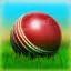 Cricket 3D World Street Challenge