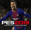 PES 2019 PRO EVOLUTION SOCCER
