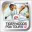 Tiger Woods PGA TOUR® 12: The Masters