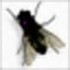 Fly on Desktop